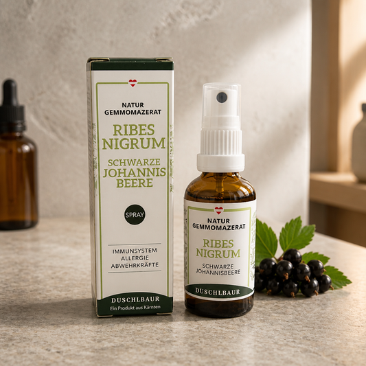 Schwarze Johannisbeere Gemmo-Mazerat 50ml Spray