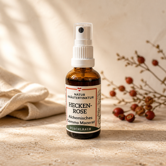Heckenrose Gemmo Mazerat 50 ml